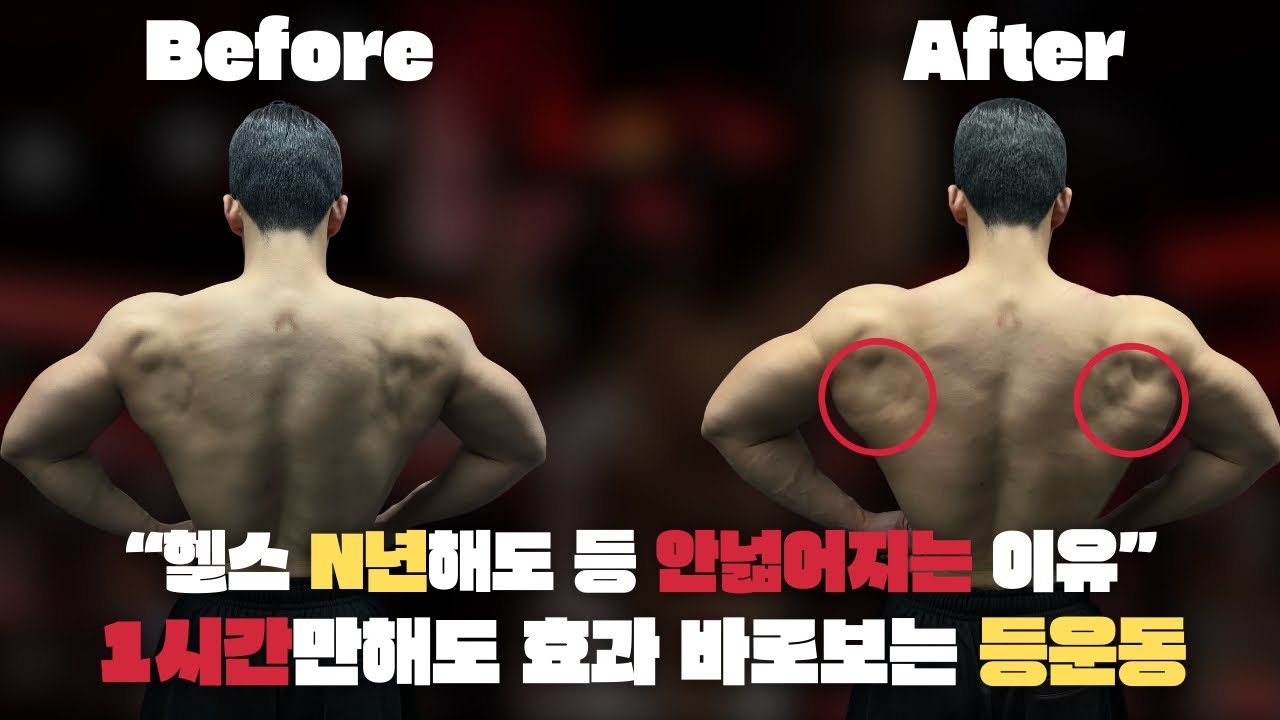 1시간만에 효과보는 등운동(feat.대원근)