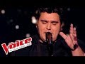 Screamin jay hawkins  i put a spell on you  yoann launay  the voice france 2015  preuve ultime