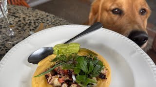 Ordering my dog his own grilled octopus 🐙  (Full video)