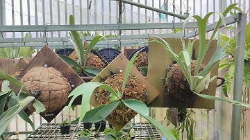 Cách ghép ổ rồng lên bảng sao cho đúng hướng