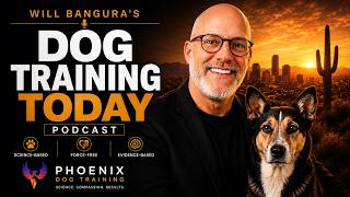 Decoding Dog Zoomies: The Science Behind Your Pet's Frenzied Energy Bursts