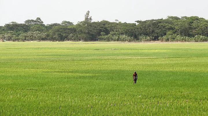 Introduction to system dynamics modelling