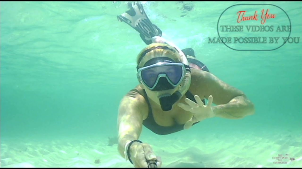 Snorkel - Eel and Urchins in St Vincent and the Grenadines
