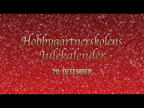 Video: Hagejulegaver - julegaveideer fra hagen