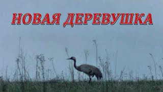 Новая деревушка / 1 день #115