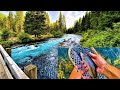 Fly fishing for trout on the metolius river  gorgeous rainbow trout  the elusive giant bull trout