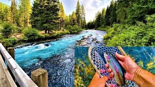 Fly Fishing for Trout on the Metolius River  Gorgeous Rainbow Trout & The Elusive GIANT Bull Trout