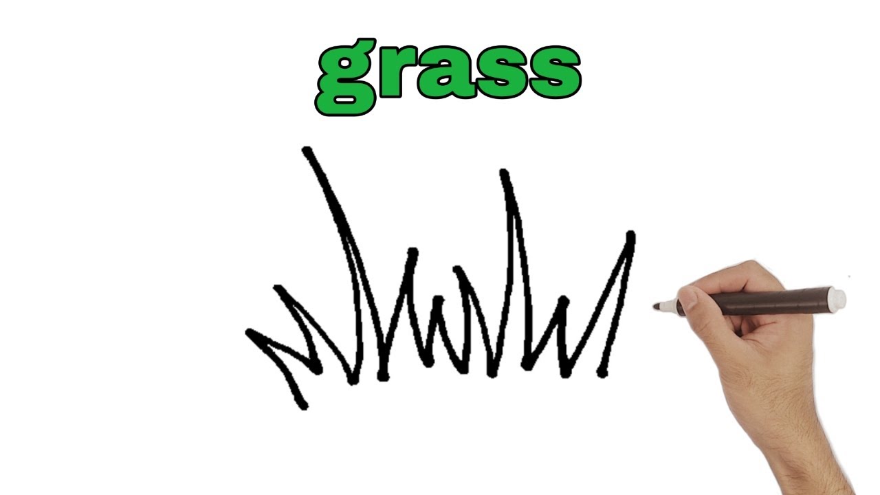 How to draw grass || simple grass drawing || easy drawing grass - YouTube
