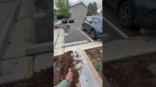 willow park irrigation water break