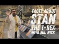 Facts about Stan the T-rex