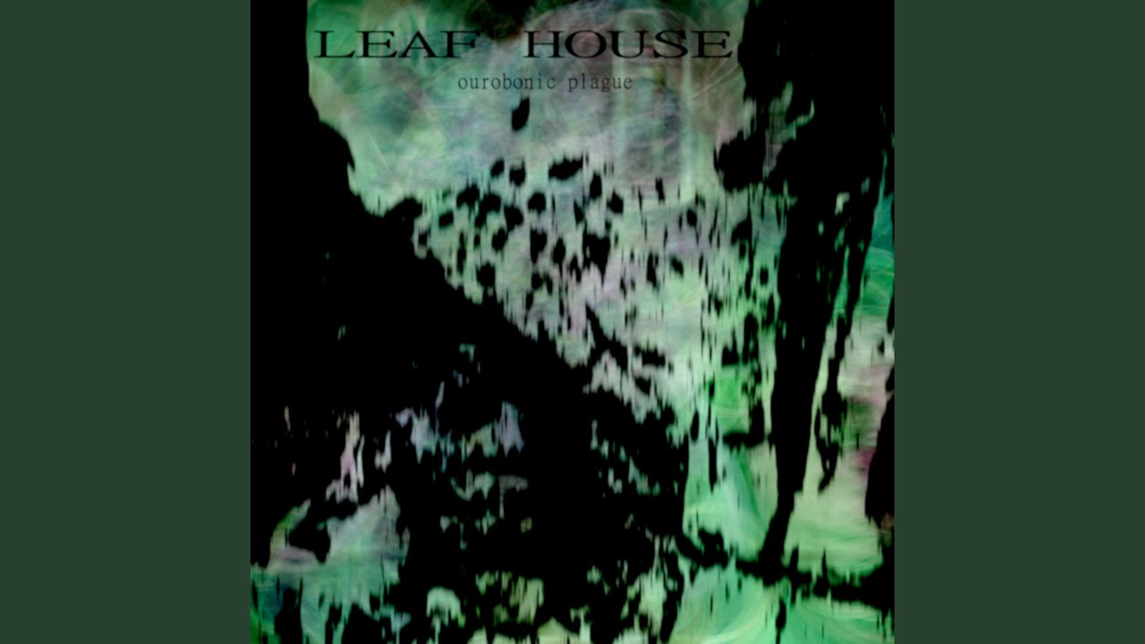 Watch Leaf House on YouTube Watch Leaf House on YouTube