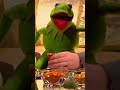 Ricky Gervais Gets Kermit Drunk | Alan Carr: Chatty Man