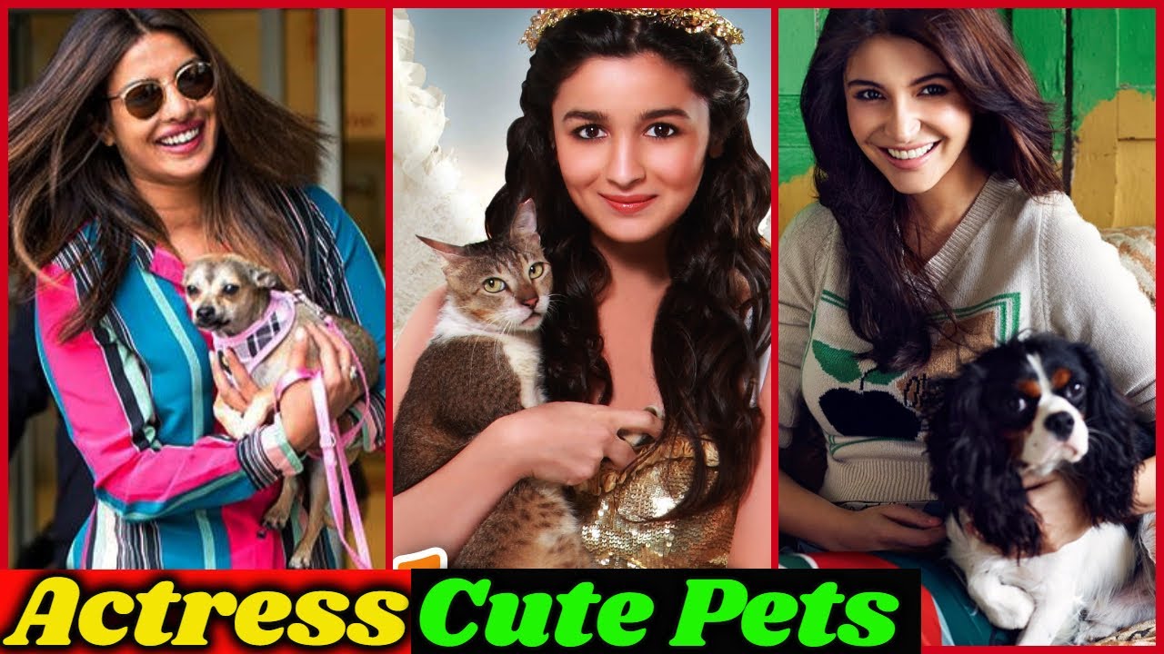 10 Bollywood Actresses And Their Cute Pets