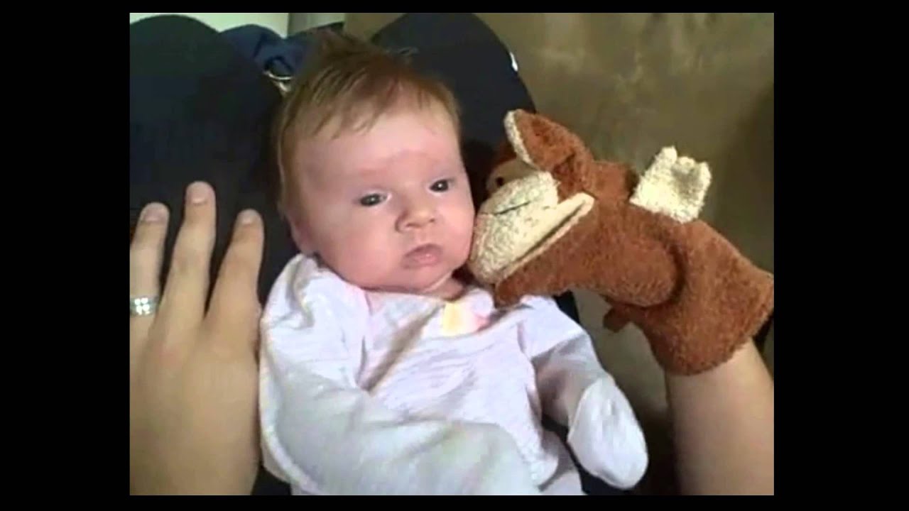 Disengagement Cues and SIgns of Overstimulation YouTube