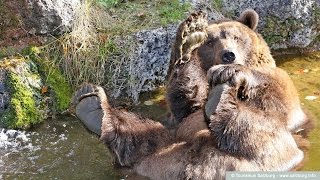 Австрия #159: Зоопарк в Зальцбурге (Salzburg Zoo) Австрия #159: Зоопарк в Зальцбурге (Salzburg Zoo)