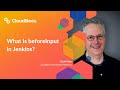 What Is beforeInput in Jenkins?