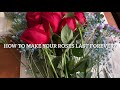 Preserved Roses DIY | How to make your Valentine’s roses last forever