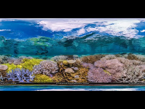 360 degree video (VR=virtual reality) of the most spectacular areas of the world ( New Caledonia )