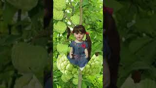 Srikaya Fruit #shorts