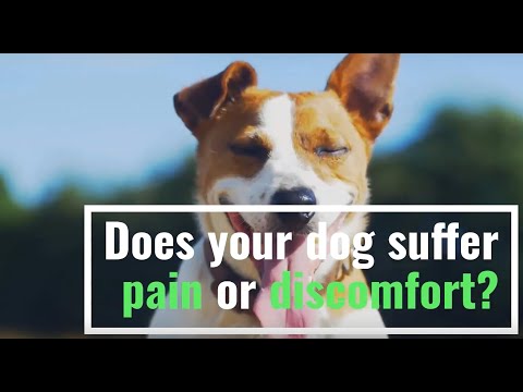 Understanding How CBD Gummies Can Promote Sleep