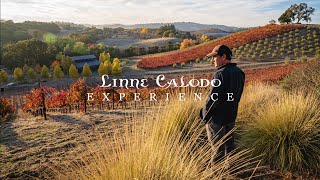 LINNE CALODO WINE - NATURE ALWAYS WINS