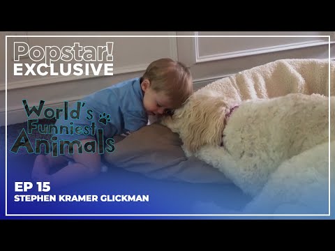 World's Funniest Animals | S1E15 | Stephen Kramer Glickman