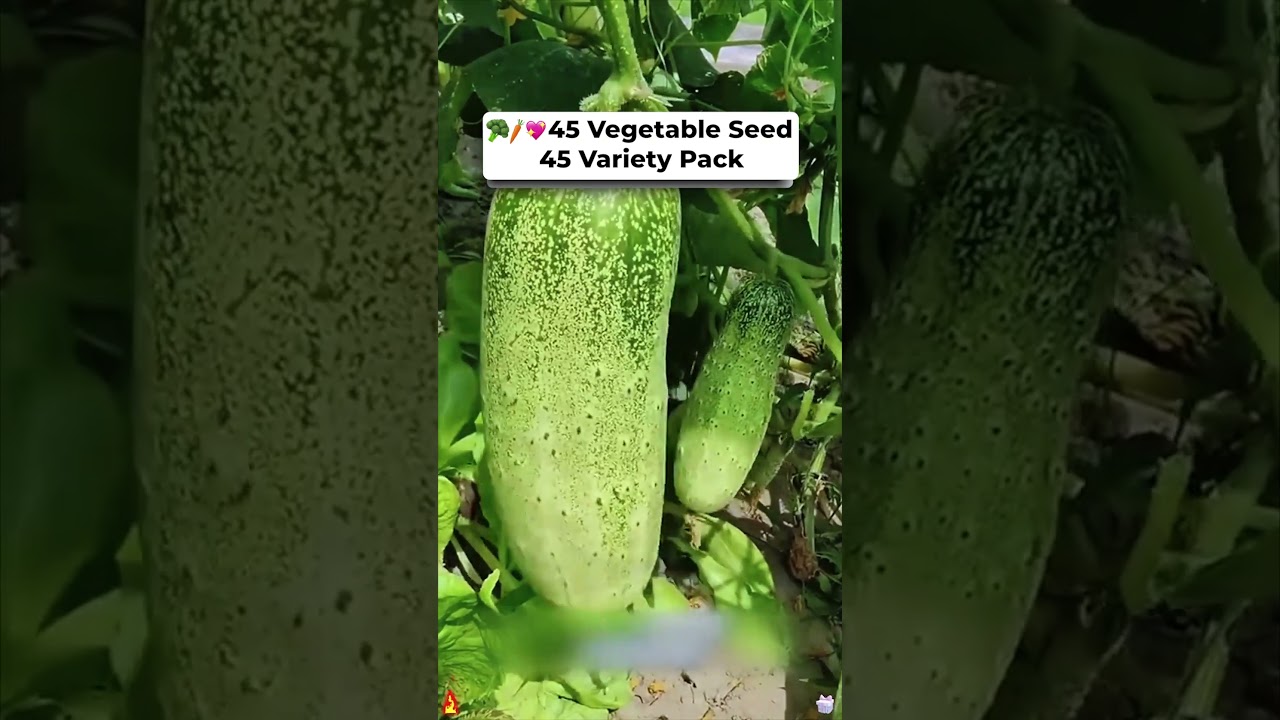 🌱 45 Types of Survival Seeds - Heirloom Quality