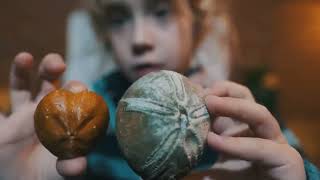 An Echinoid Discovery by Clara | CHILDRENS FOSSIL COMPETITION 2024