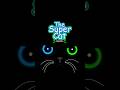 Vector Art Illustration in Affinity By Canva( The SUPER CAT)