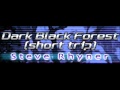 Steve rhyner  dark black forest short trip hq