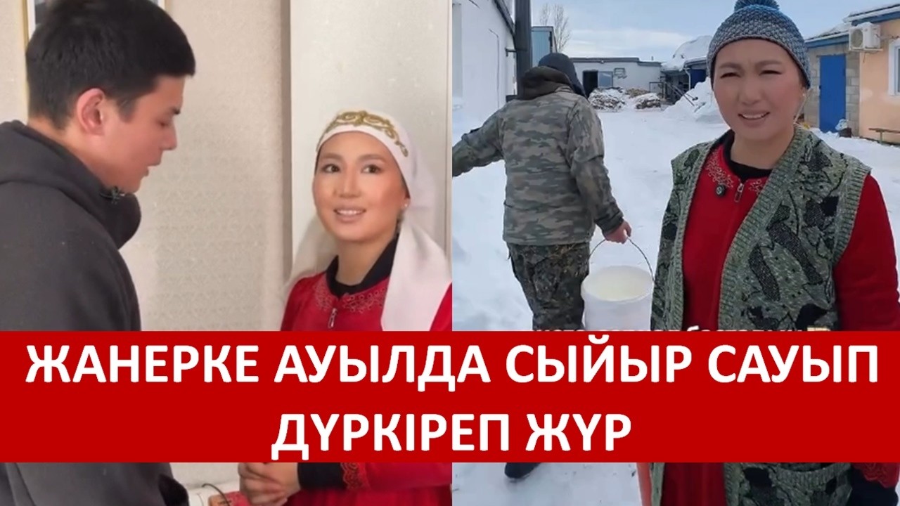 ЖАНЕРКЕ АУЫЛДА СИЫР САУЫП ДҮРКІРЕП ЖҮР