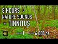 8 Hours Nature Sounds for Tinnitus — EP 1 | [6,000 Hz] | 4K HDR10 - E01-6000