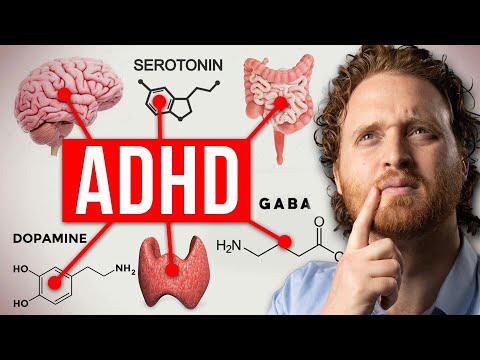 ADHD is Not Just a Dopamine Problem thumbnail