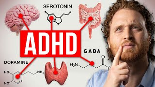 Why ADHD Is Not Just A Dopamine Problem?