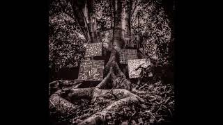 Washington Kamasi - Knowledge