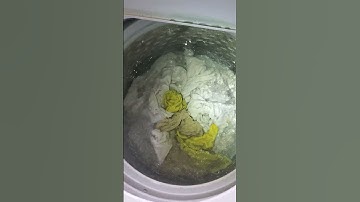 Agitator or Impeller