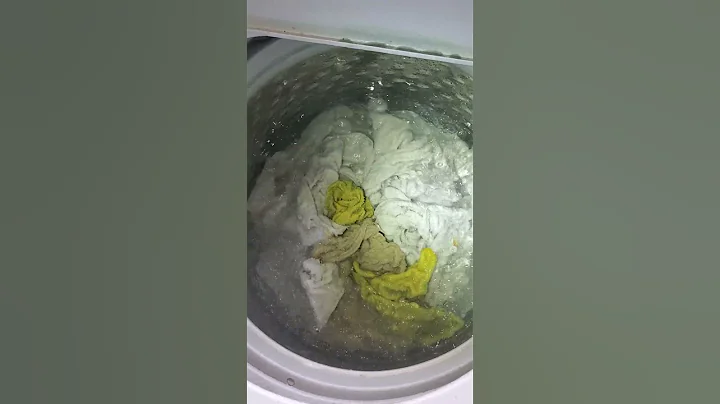 Agitator or Impeller