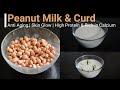 Pure vegan milk || Peanut milk & curd || Anti aging, Skin glow, Protein & Calcium || Dr Khadar Vali