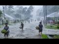 CAN YOU HANDLE THIS WEATHER? 🌧️⚡ Heavy Rain, Strong Winds & Rural Indonesia Ambience | Deep Sleep