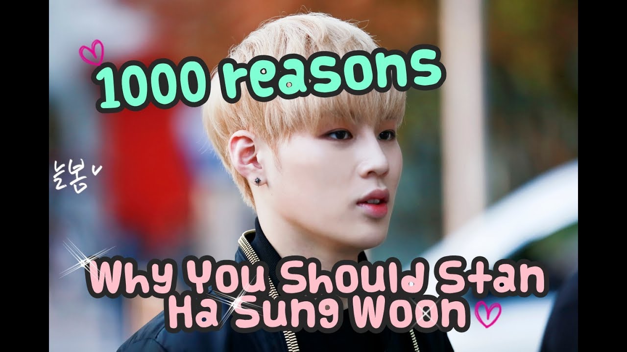 1000 Reasons Why You Should Stan Ha Sung Woon
