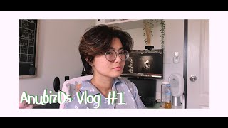 AnubizDs Vlog #1 วันวุ่นของนุ้งมาฟังเพลงแม่ Adele กัน