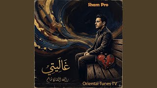غاليتي screenshot 1