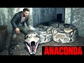 Anaconda Entered My House (Android) Anaconda New Horror Game - Full Gameplay