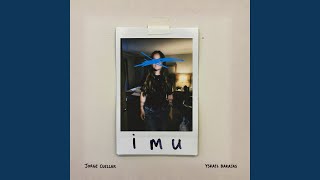 IMU - Jorge Cuellar & Ysrael Barajas