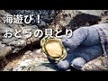 【海遊び】おとうの貝とりについて行ってみた　※おとうは漁業権を持っています #57