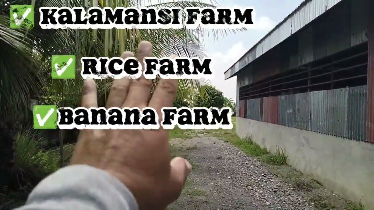 V#121| Farm Lot, Rice Mill, Fish Pond, Piggery, Ware house FOR SALE Loc. AREA: 3 Hectares Price: 25M