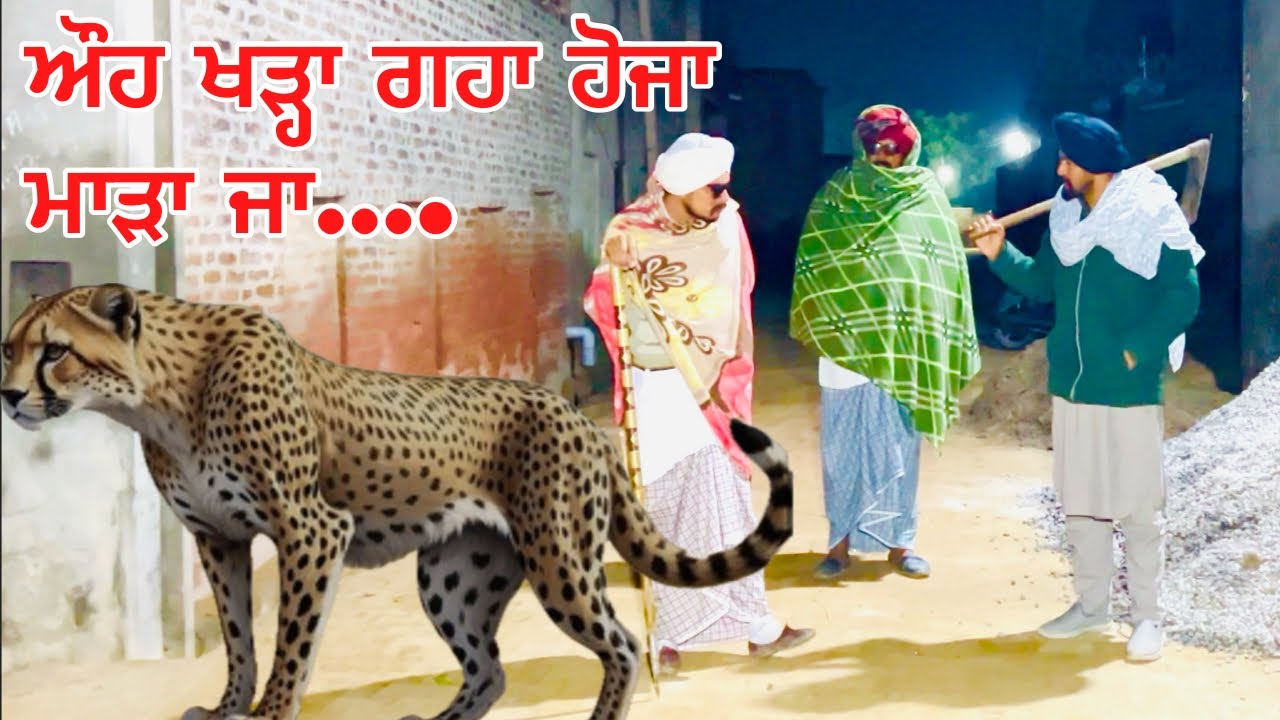 ਆਪਣੇ ਖੇਤਾਂ ਚ  ਚੀਤਾ ਪੈਦਾ, ਆਪਾ ਨੀ ਨਹਿਰ ਦੀ ਵਾਰੀ ਲਾਉਦੇ ਭਰਾਵਾ ਬੰਤ ਤੂੰ ਵਗਜਾ ਜਾਣਾ …. //new video