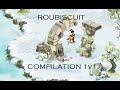 ROUBISCUIT - COMPILATION ROUBLARD (2) DOFUS