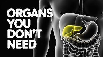 How Many Organs Can You Live Without? The Truth Will Shock You