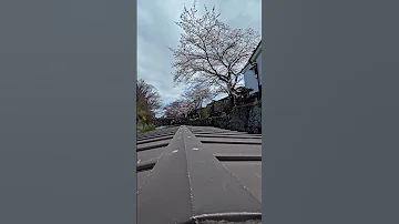 The DALE Rector S Cut Shiga In A Nutshell Japan Travel Ytshort Shorts Shiga 